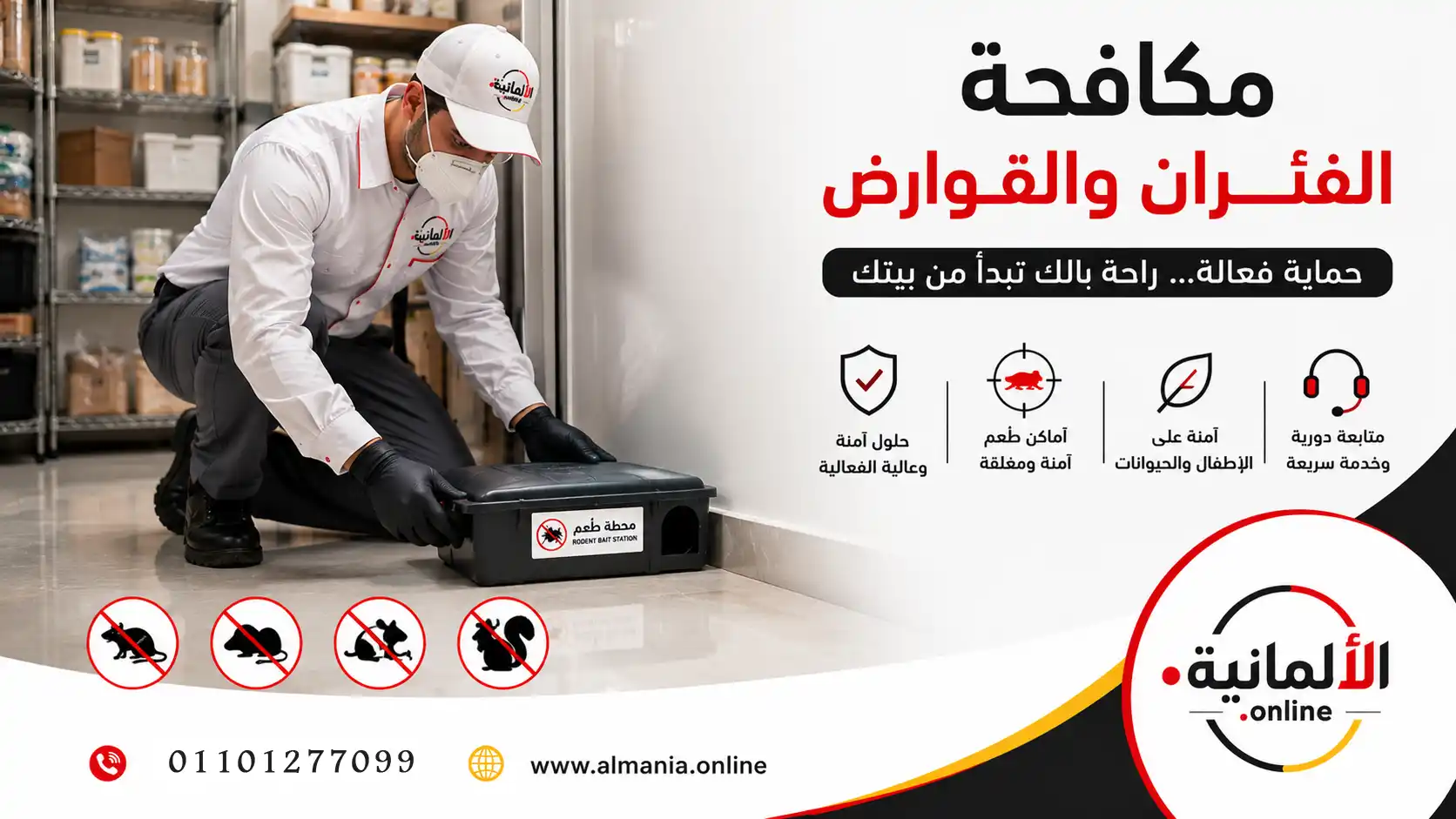 مخاطر الفئران والجرذان وكيفية تأمين المنازل والمطاعم