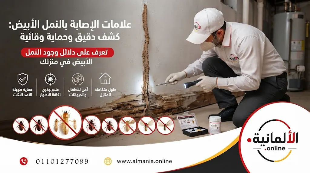 علامات الإصابة بالنمل الأبيض وطرق حماية الخشب والأثاث