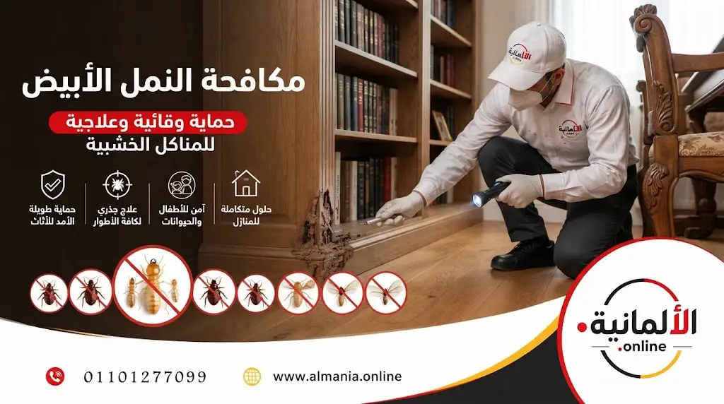 مكافحة سوس الأخشاب